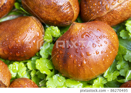 栗子 ，秋之美食，  堅果， 漿果 ， 栗、秋の料理、ナッツ、ベリー、chestnuts, nut 86270495