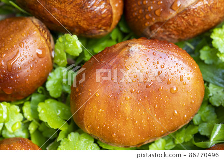 chestnuts, autumn food, nuts, berries, chestnuts, autumn cuisine, ナッツ, ベリー, chestnuts, nut 86270496