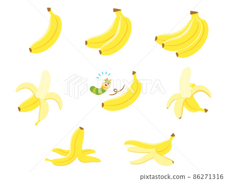Fruit illustration variety set banana 86271316