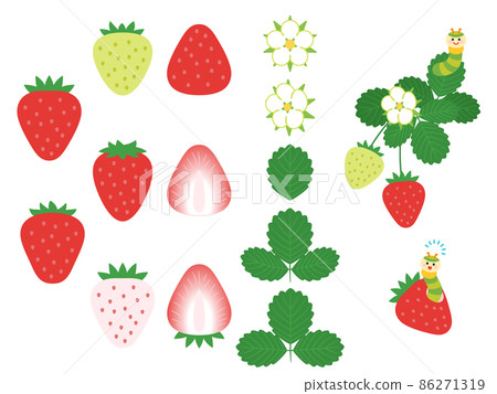 Fruit illustration variety set strawberry Fruit illustration variety set strawberry 86271319