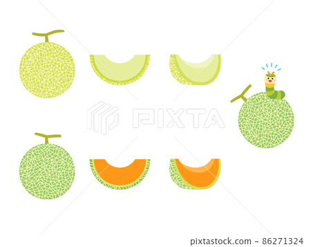水果插圖品種集瓜 86271324