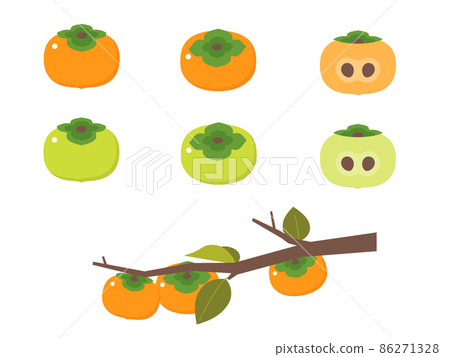 Fruit illustration variety set persimmon Fruit illustration variety set persimmon 86271328
