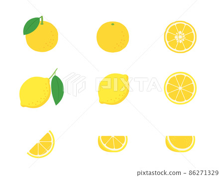 Fruit illustration variety set citrus fruits (yuzu, lemon) 86271329