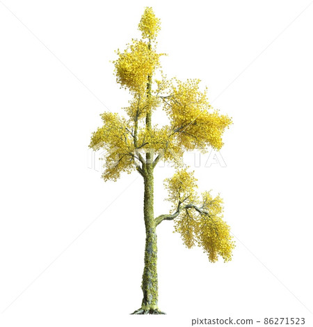 Autumn tree 3d illustration isolated on white background 86271523