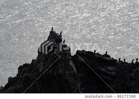 Hiji no Ishimon 86271590