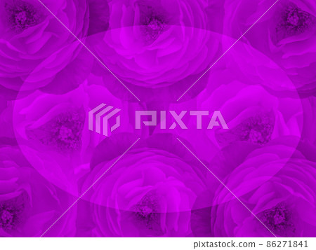 blur oval is placed on violet roses flower bouquet background, banner, template, name card, copy space 86271841
