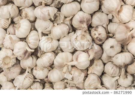 White garlic vegetable raw ingredient food organic background White garlic vegetable raw ingredient food organic background 86271990