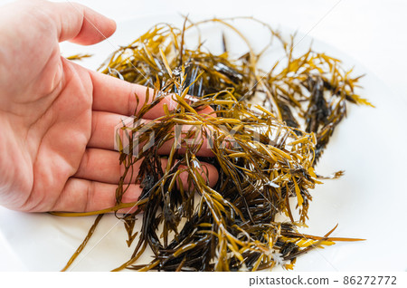 Raw gibasa picked up Raw gibasa picked up 86272772