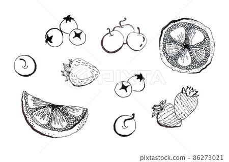 Linear berry fruit icons isolated illustration set hand drawn 86273021