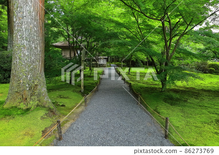 [Kyoto Prefecture] The mysterious Kyoto Ohara Sanzen-in Temple 86273769