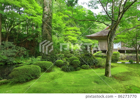 [Kyoto Prefecture] The mysterious Kyoto Ohara Sanzen-in Temple 86273770