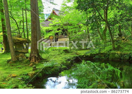[Kyoto Prefecture] The mysterious Kyoto Ohara Sanzen-in Temple 86273774