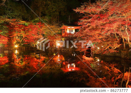 [京都府]大五寺彩葉照亮（夜間參觀） 86273777