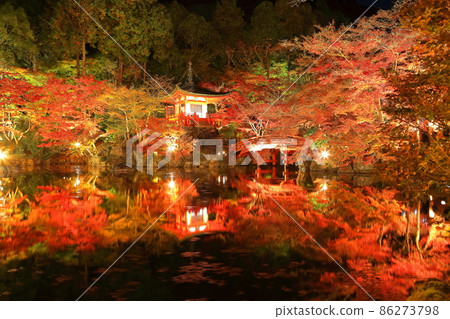 [Kyoto Prefecture] Daigoji colored leaves lit up (night visit) 86273798