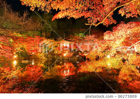 [京都府]大五寺彩葉照亮（夜間參觀） 86273809