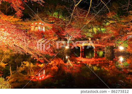 [Kyoto Prefecture] Daigoji colored leaves lit up (night visit) 86273812