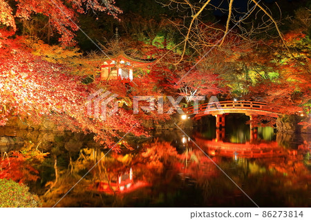 [京都府]大五寺彩葉照亮（夜間參觀） 86273814