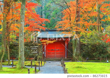 [Kyoto Prefecture] Autumn leaves of Kyoto Ohara Sanzen-in Temple Suzakumon 86273815
