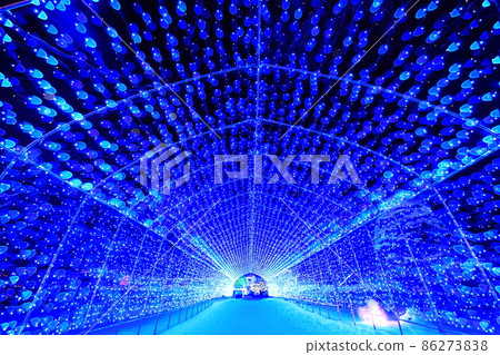 Koiwai Illumination 86273838