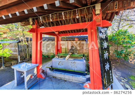 Tokyo Asakusa Shichifukujin Tour Matsuchiyama Shoden Chozuya Tokyo Asakusa Shichifukujin Tour Matsuchiyama Shoden Chozuya 86274256