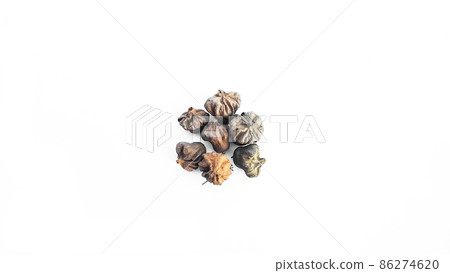 Isolated dried brown teak seeds on white background Isolated dried brown teak seeds on white background 86274620