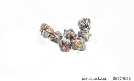 Isolated dried brown teak seeds on white background Isolated dried brown teak seeds on white background 86274626