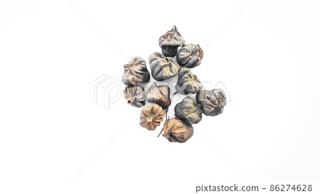 Isolated dried brown teak seeds on white background Isolated dried brown teak seeds on white background 86274628