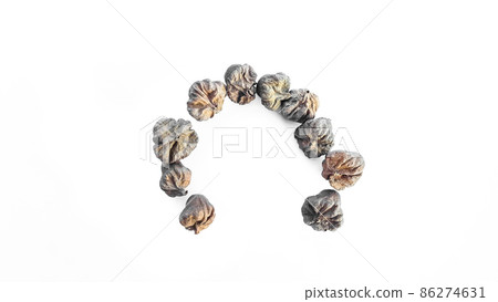 Isolated dried brown teak seeds on white background Isolated dried brown teak seeds on white background 86274631
