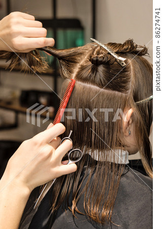 Process of cutting bob, back view Process of cutting bob, back view 86274741