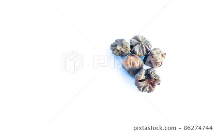 Isolated dried brown teak seeds on white background Isolated dried brown teak seeds on white background 86274744
