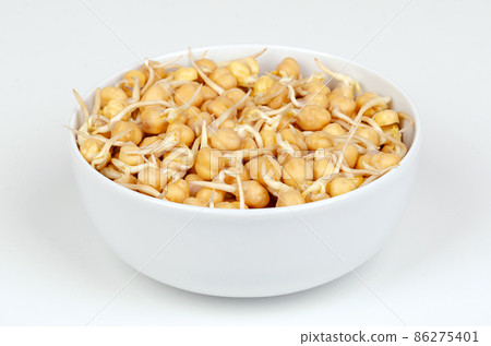 Chickpea sprouts, in a white bowl, front view, on white surface. Ready to eat, sprouted chickpeas, seeds of Cicer arietinum, a legume and protein source, known as chick or garbanzo beans, and as gram. 86275401