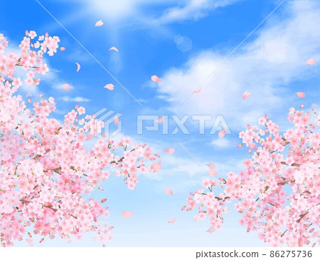 美麗絢麗的櫻花花瓣在春天的清新藍天中飄揚 雲框背景矢量素材插畫 86275736