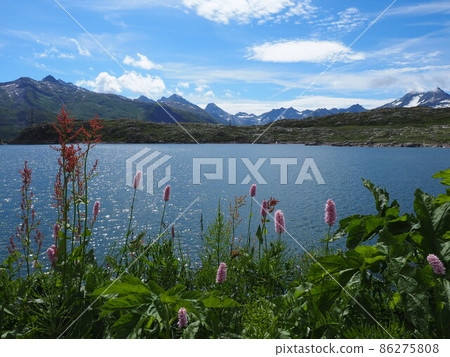 Alps_Beautiful Summer Totensee Alps_Beautiful Summer Totensee 86275808