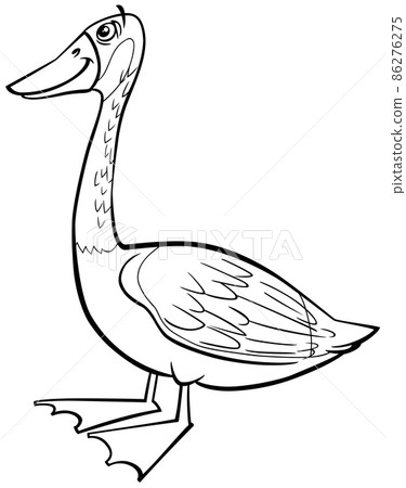 cartoon wild goose bird animal character coloring book page cartoon wild goose bird animal character coloring book page 86276275