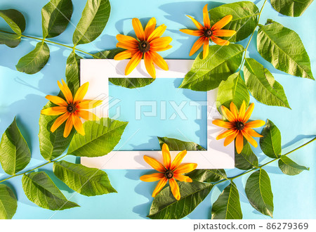 Floral composition background. Black-eyed susan or Rudbeckia hirta plant, brown betty, gloriosa daisy, golden Jerusalem. Floral composition background. Black-eyed susan or Rudbeckia hirta plant, brown betty, gloriosa daisy, golden Jerusalem. 86279369