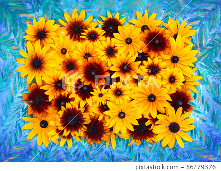 Floral composition background. Black-eyed susan or Rudbeckia hirta plant, brown betty, gloriosa daisy, golden Jerusalem. 86279376