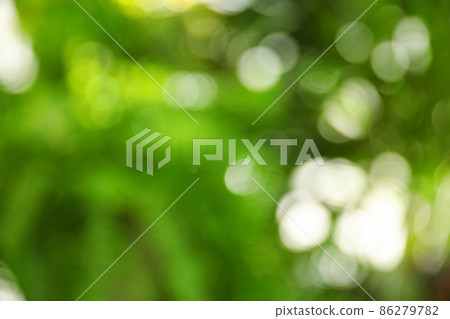 Abstract nature green background with sun rays, bokeh effect 86279782