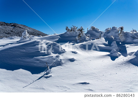 Fresh snow on the mountain trail Fresh snow on the mountain trail 86280143