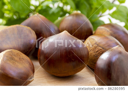 栗子 ，秋之美食，  堅果， 漿果 ，栗、秋の料理、ナッツ、ベリー、chestnuts, nuts, 86280395