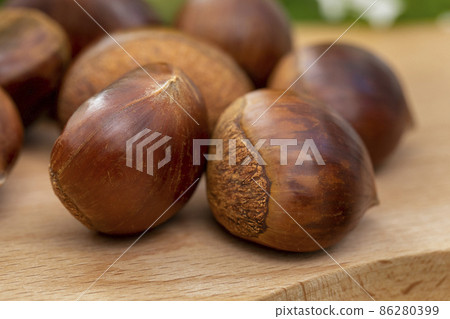 chestnuts, autumn food, nuts, berries, chestnuts, autumn cuisine, ナッツ, ベリー, chestnuts, nuts, chestnuts, autumn food, nuts, berries, chestnuts, autumn cuisine, ナッツ, ベリー, chestnuts, nuts, 86280399