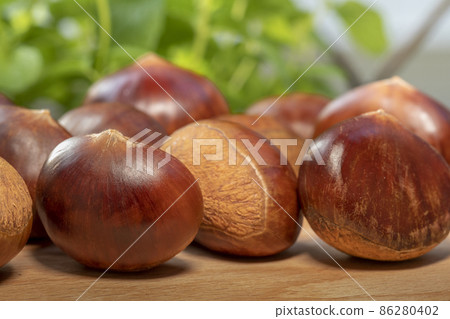 chestnuts, autumn food, nuts, berries, chestnuts, autumn cuisine, ナッツ, ベリー, chestnuts, nuts, chestnuts, autumn food, nuts, berries, chestnuts, autumn cuisine, ナッツ, ベリー, chestnuts, nuts, 86280402