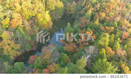 Autumn leaves of Notanohori pond 86281671