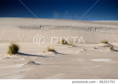 Wandering dune 86281702