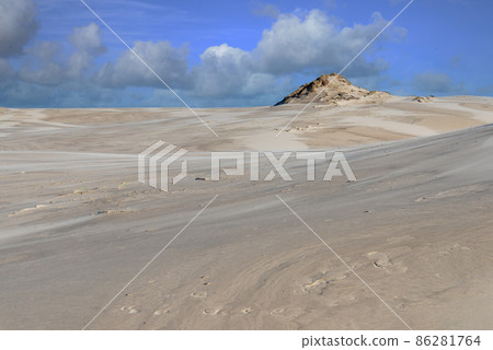 Wandering dune near Leba, Poland 86281764
