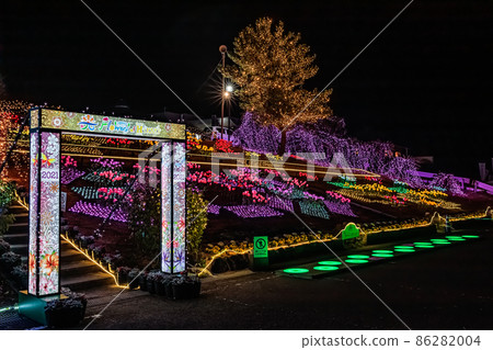 長島町(鹿兒島縣和泉區)首次點燈活動“光之花” 長島町(鹿兒島縣和泉區)首次點燈活動“光之花” 86282004