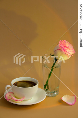 Tender pink rose on vase with white cup of coffee on beige background. Minimal composition. Romantic pastel pink rose flower. Modern aesthetic. Neutral earth tones. Holiday morning breakfast Hardlight 86283239