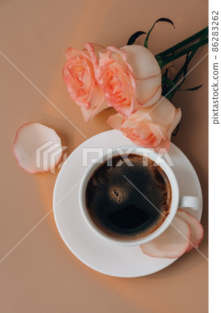 Tender pink rose on vase with white cup of coffee on beige background. Minimal composition. Romantic pastel pink rose flower. Modern aesthetic. Neutral earth tones. Holiday morning breakfast Hardlight 86283262