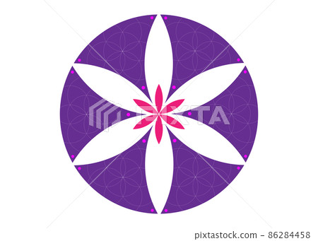 Seed Flower of life lotus icon, purple mandala sacred geometry, yantra symbol of harmony and balance. Mystical talisman, logo sign vector isolated on white background Seed Flower of life lotus icon, purple mandala sacred geometry, yantra symbol of harmony and balance. Mystical talisman, logo sign vector isolated on white background 86284458