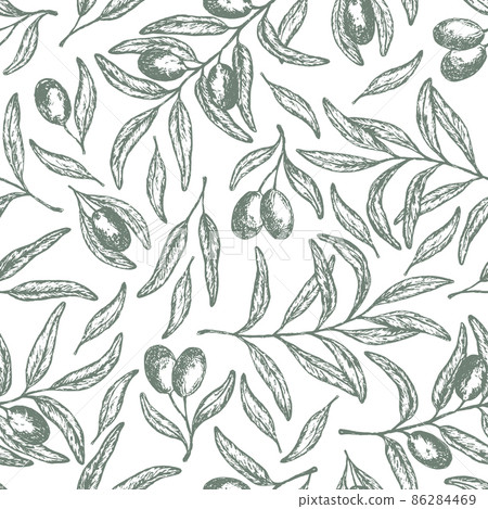 Tender pattern with hand drawn vector olive twigs 86284469