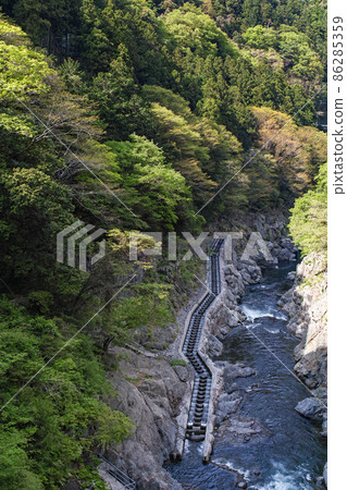 Tokyo / Fresh green Shiromaru fish road, Shiromaru adjustment pond (Shiromaru dam) 86285359